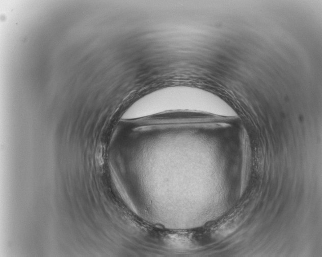 X0000086880232200705141418