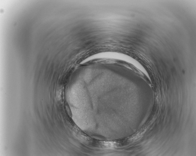 X0000086880233200705141418