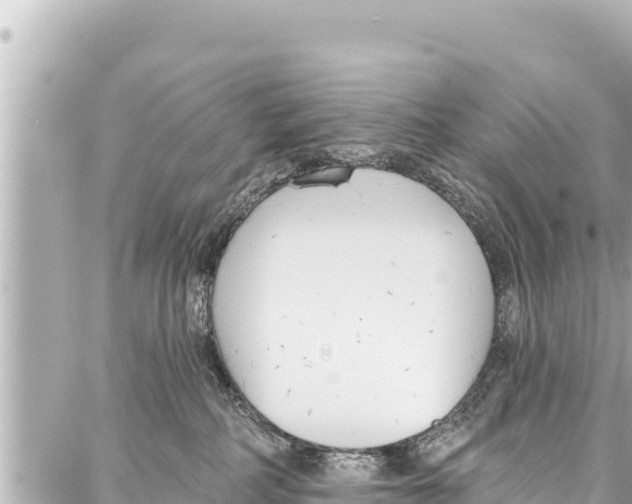 X0000086880234200705141418