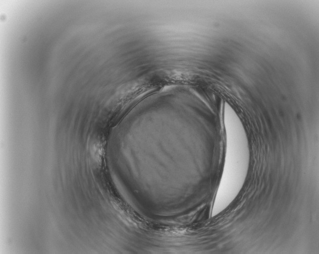 X0000086880235200705141418