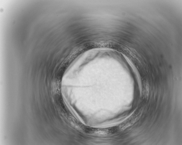 X0000086880236200705141418