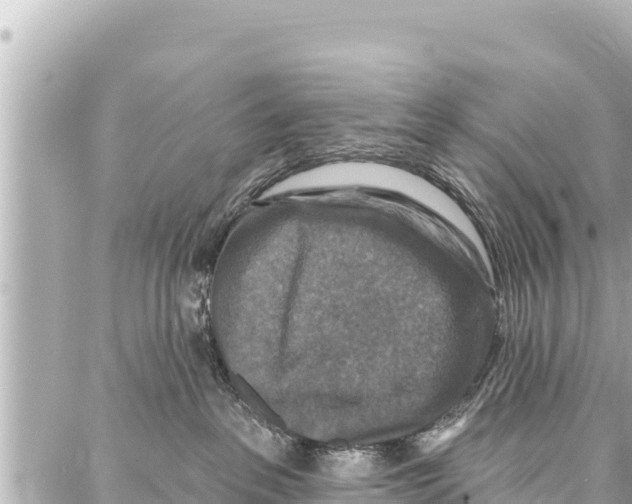 X0000086880237200705141418