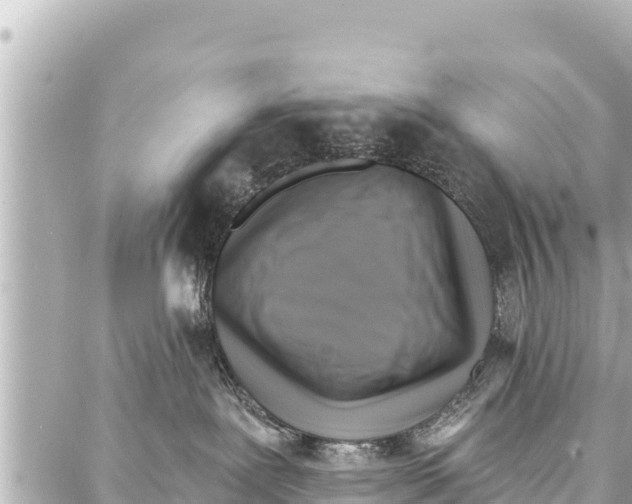 X0000086880239200705141418