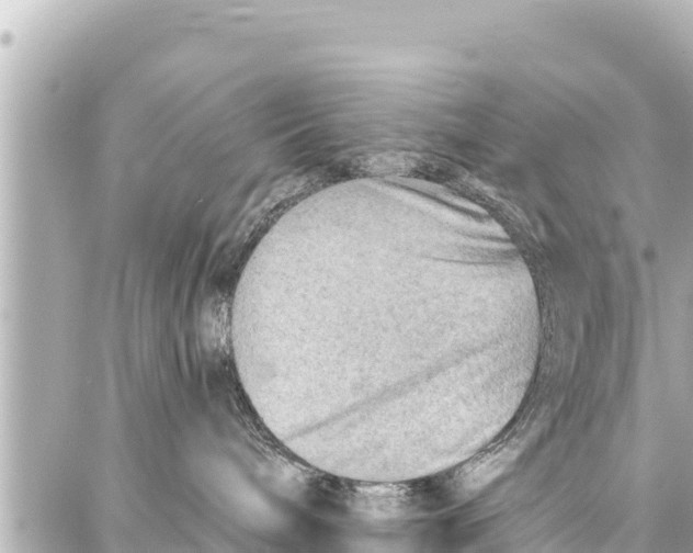 X0000086880240200705141418