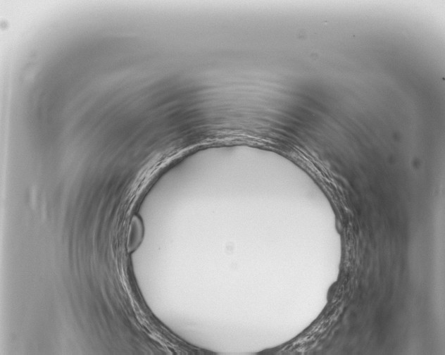 X0000086880241200705141417