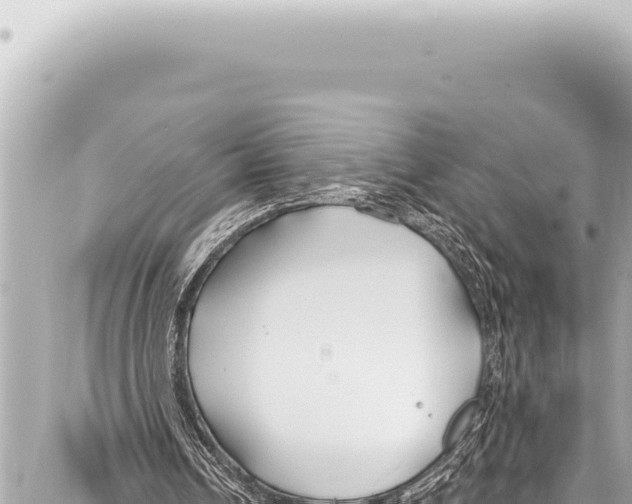 X0000086880242200705141417