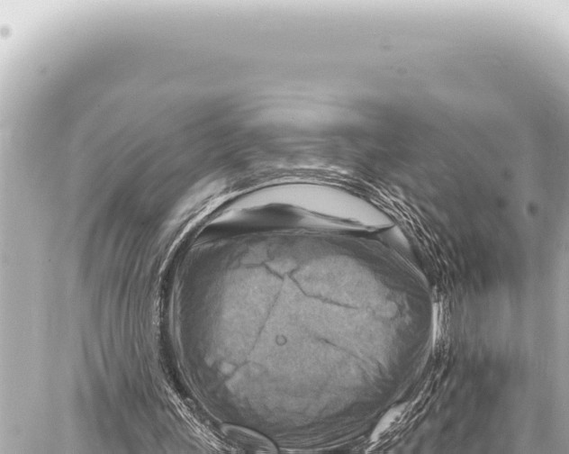 X0000086880243200705141417