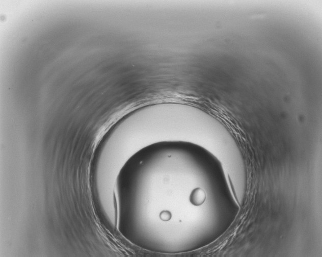 X0000086880244200705141417