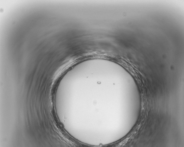 X0000086880245200705141417