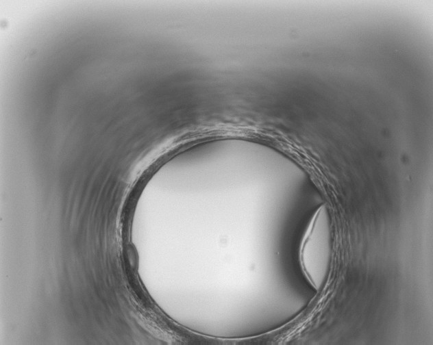 X0000086880246200705141417