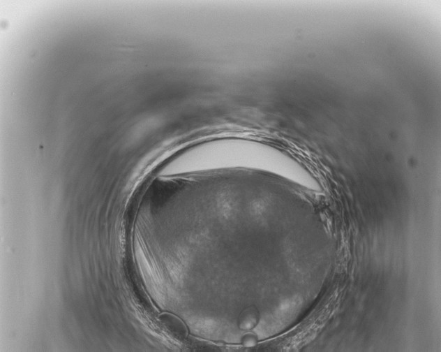 X0000086880247200705141417