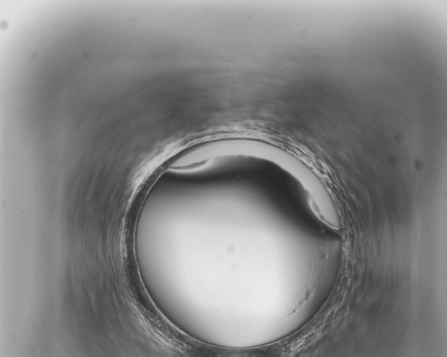 X0000086880248200705141417