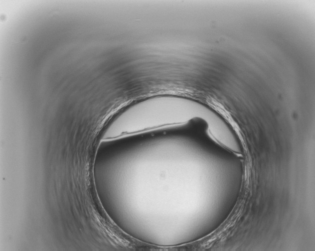 X0000086880249200705141417