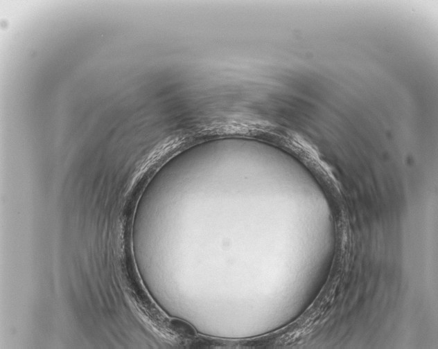 X0000086880250200705141417