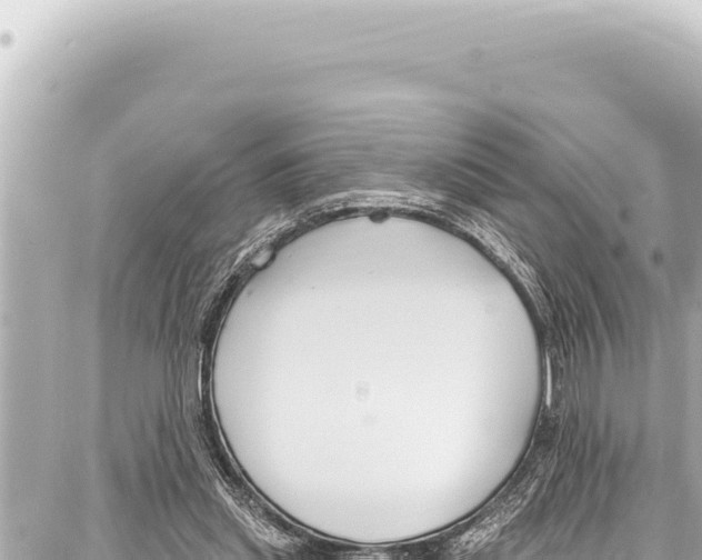 X0000086880253200705141417