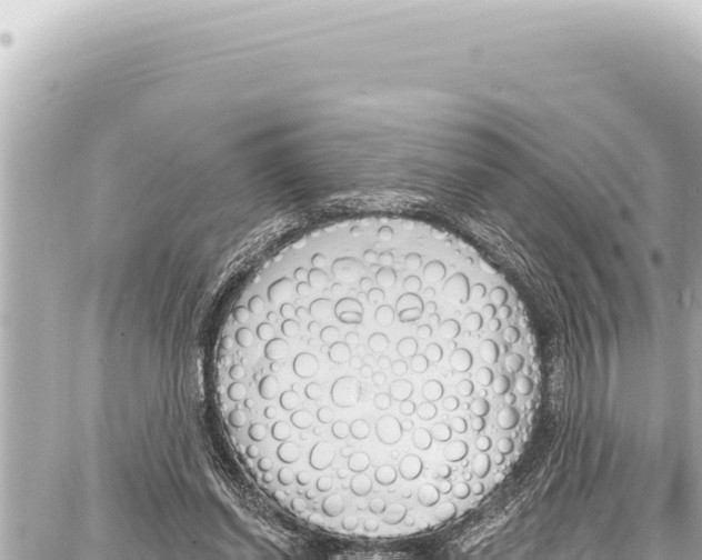 X0000086880254200705141417