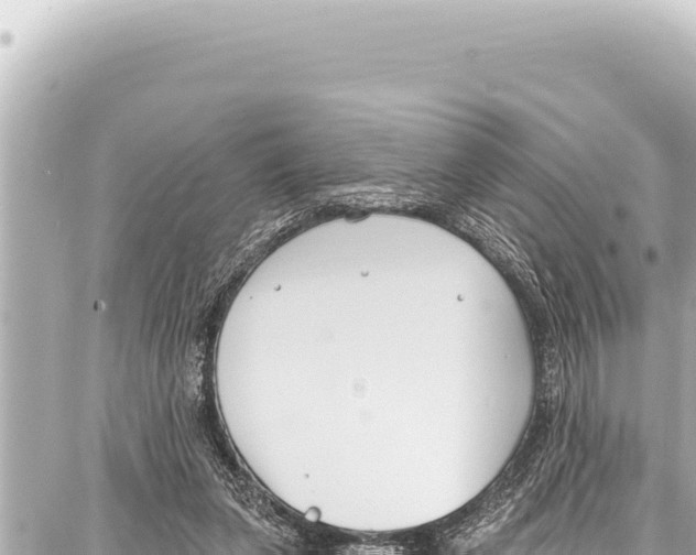 X0000086880255200705141417