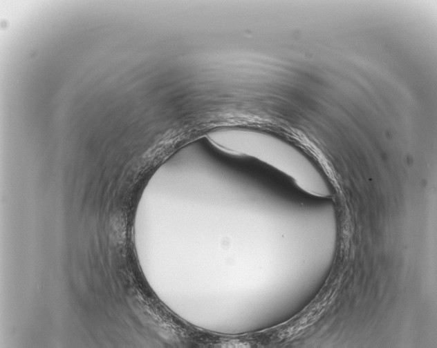 X0000086880257200705141417