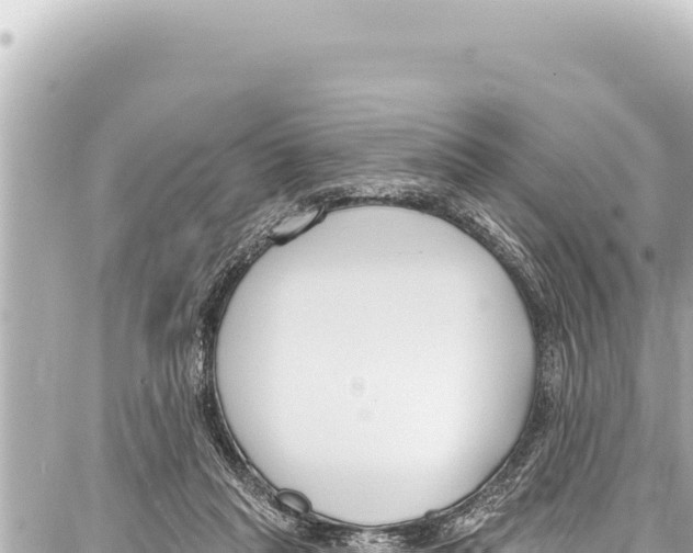 X0000086880261200705141418