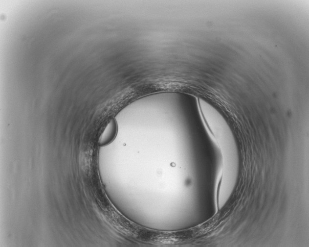 X0000086880263200705141418