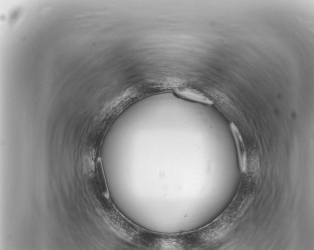 X0000086880264200705141418