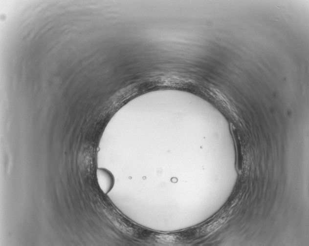 X0000086880265200705141418