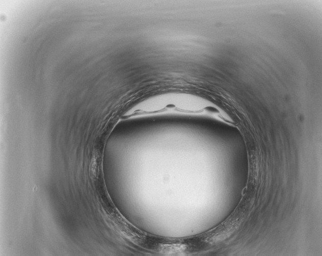 X0000086880266200705141418