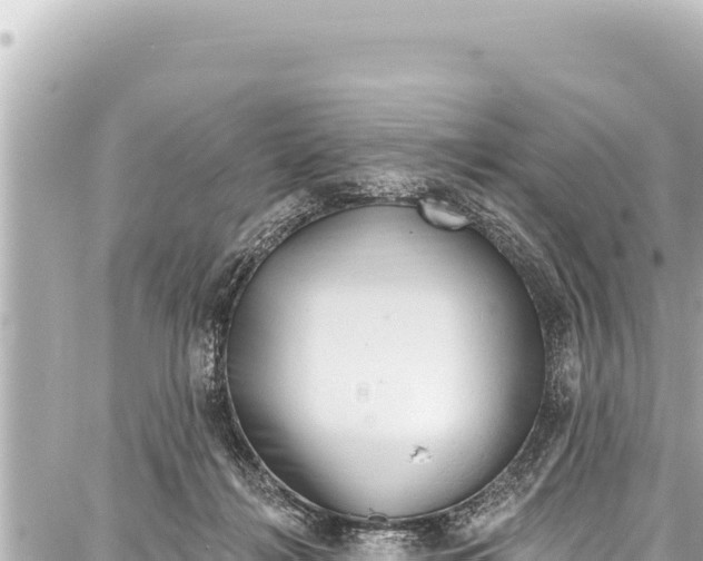 X0000086880268200705141418