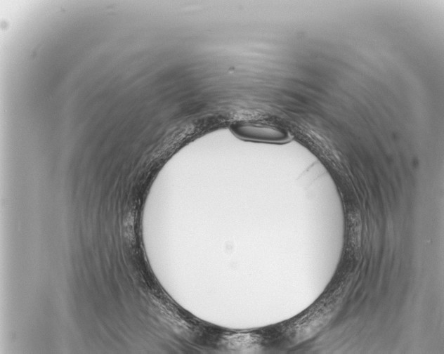 X0000086880269200705141418