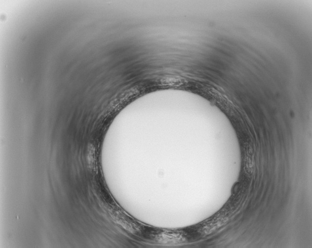 X0000086880270200705141418