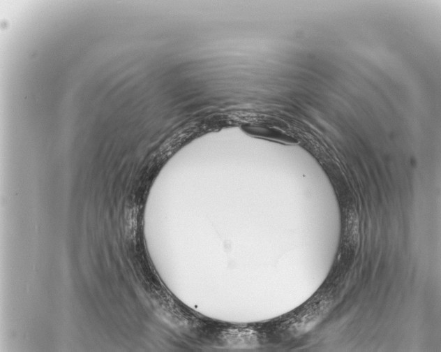 X0000086880271200705141418