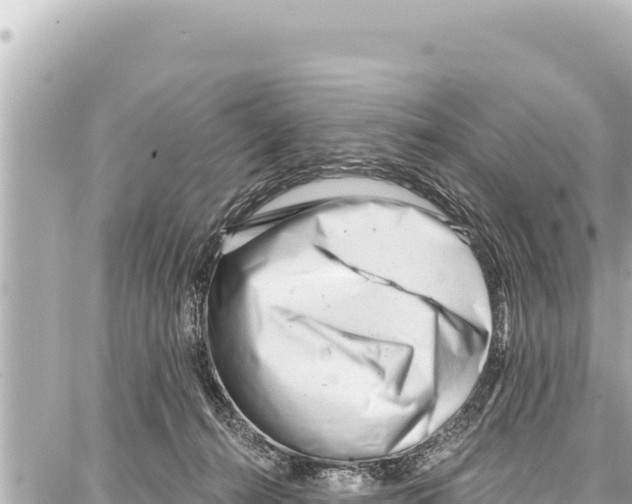 X0000086880272200705141418