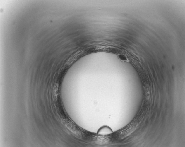 X0000086880275200705141418