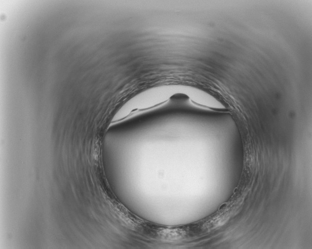 X0000086880277200705141418