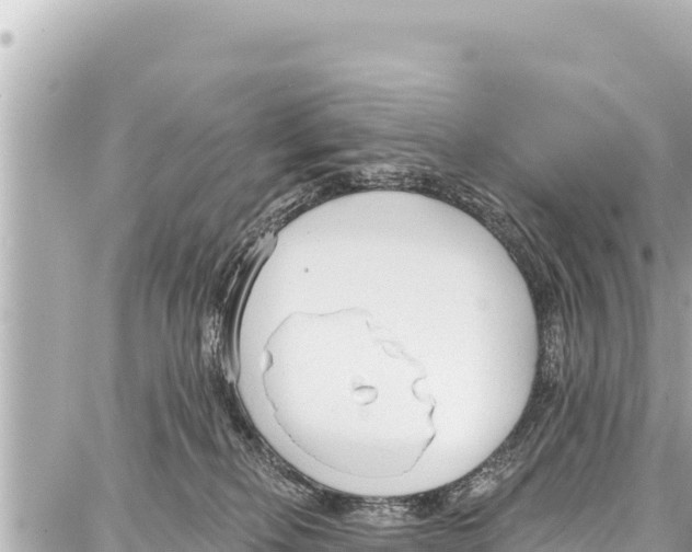 X0000086880278200705141418