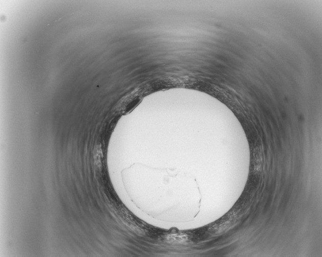 X0000086880279200705141418