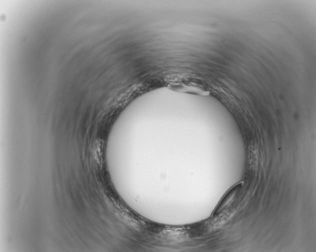 X0000086880280200705141418