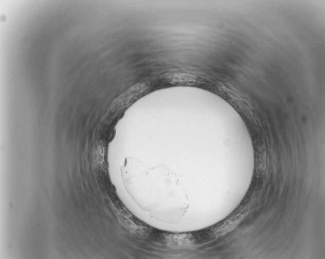 X0000086880281200705141418