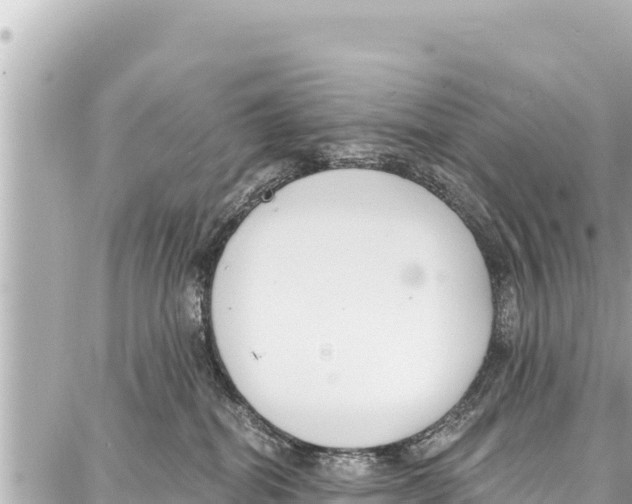 X0000086880282200705141418