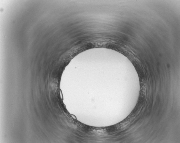 X0000086880283200705141418