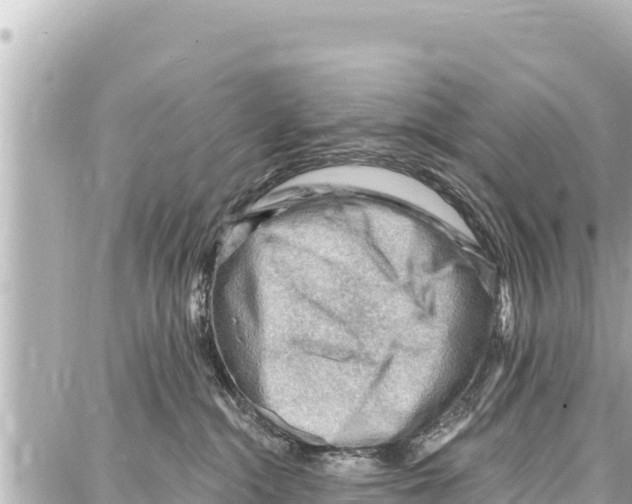 X0000086880284200705141418