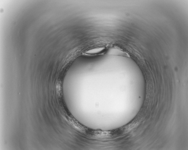 X0000086880288200705141418