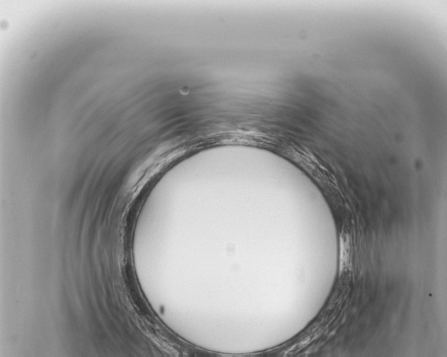 X0000086880291200705141417