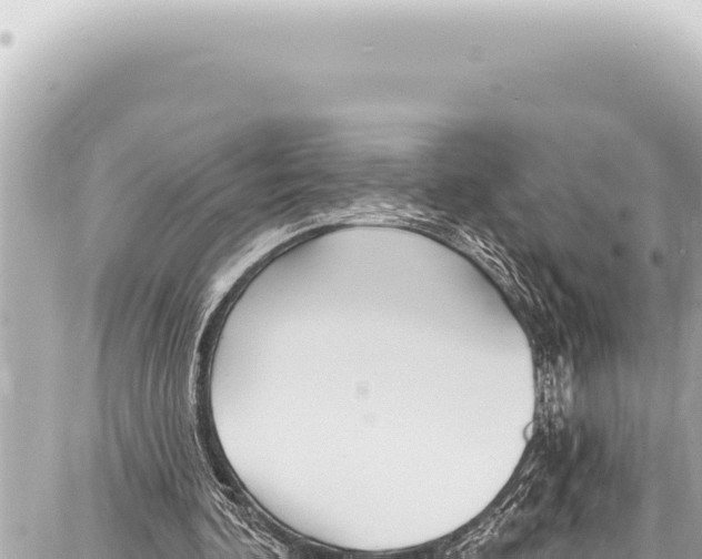 X0000086880292200705141417