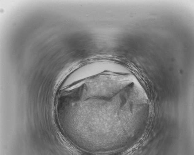 X0000086880293200705141417