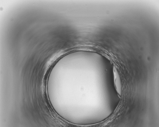 X0000086880294200705141417