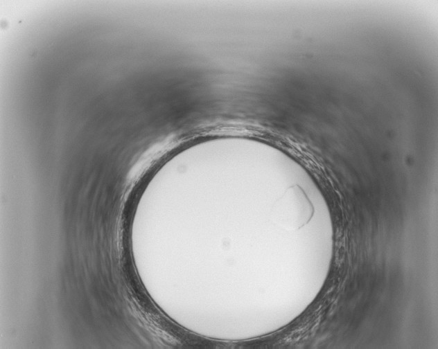 X0000086880296200705141417