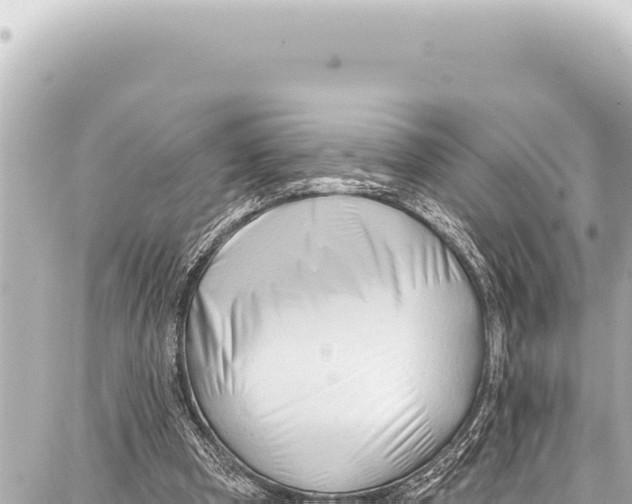 X0000086880297200705141417