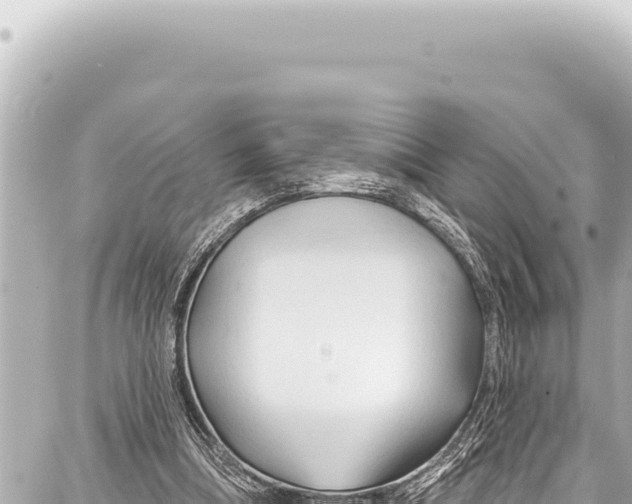 X0000086880298200705141417