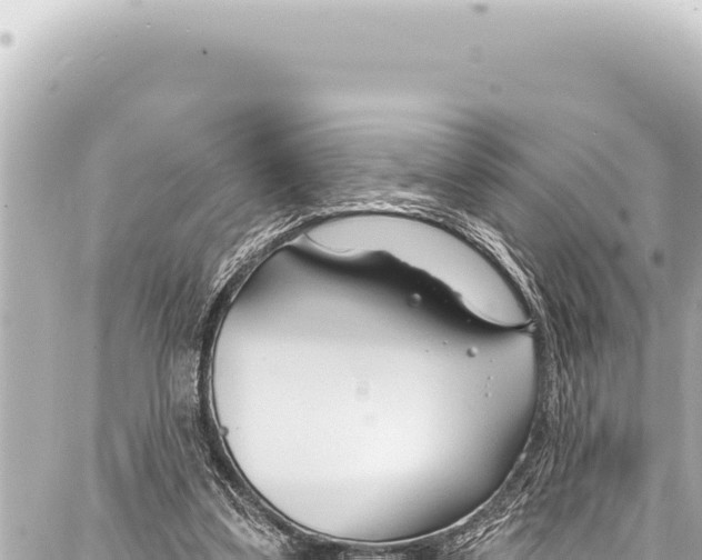 X0000086880299200705141417